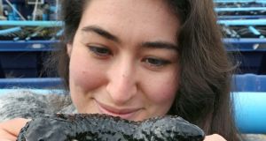 Sinead  holding a sea cucumber at Rossaveal. Photograph: Joe O’Shaughnessy 