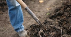 Some experts predict that in less than 60 years, the world’s stores of topsoil will have run out.