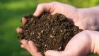 Hidden in just a teaspoon of healthy garden soil  are countless naturally-occurring, beneficial micro-organisms.