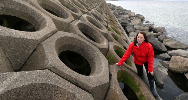 Dr Louise Firth on  the causeway to Mutton Island in Galway Bay. Photograph: Joe O’Shaughnessy 