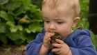 Eating soil may provide some nutritional value. But overall, it is not advised.