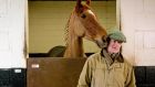 Willie Mullins with Annie Power at his Co Carlow stables last February. Photograph: Morgan Treacy/Inpho
