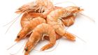 Cheaper food! Britons have been promised that Thai prawns  will cost 36p less  once the UK is free of EU shackles.