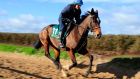 Vroum Vroum Mag will defend her Mares’ Hurdle title against stablemate Limini at Cheltenham on Tuesday. Photograph: PA