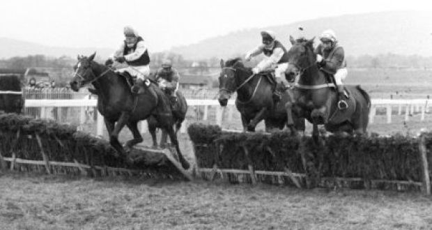 Monksfield and Tommy Kinane (left) make a mistake at the final flight of the 1977 Champion Hurdle to let Night Nurse (right) snatch victory