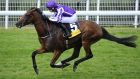 Highland Reel:  “When he gets in the lead in these mile and a half races he is difficult to stop,” says Ryan Moore. Photograph: Alan Crowhurst/Getty Images