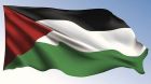 People Before Profit councillor John Lyons says flying the flag  would be a gesture to mark the 50th anniversary of the Israeli occupation of the West Bank
