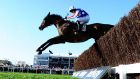 The company said it made a profit on 19 of the 28 races at Cheltenham, compared with just 11 last year. Photograph: Harry Trump/Getty Images