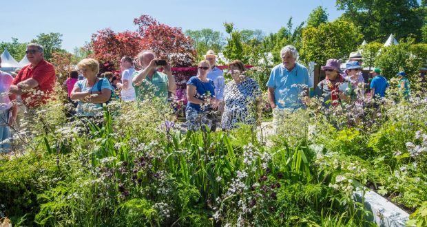 Garden enthusiasts at Bloom in 2016. Photograph: Brenda Fitzsimons 
