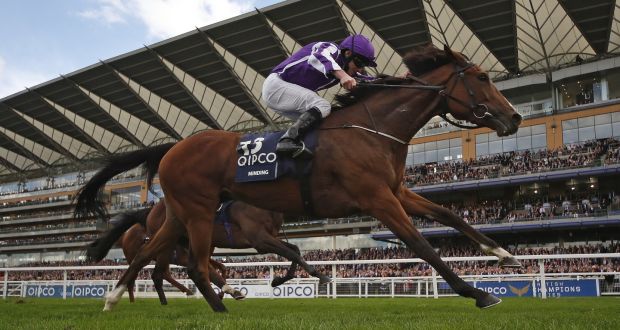 Minding will attempt to win the eighth Group One of her career in the Tattersalls Gold Cup at the Curragh. Photograph: Getty Images.
