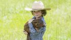Amont the topics on the higher level paper were one about a young boy who wins a pig at a festival. Photograph: iStock