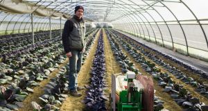 Lucien Laizé gave up his city lifestyle to take over his family’s seed production farm in Saint Martin du Bois, France. To help him during production, he’s found an ally in Oz, Naïo Technologies’s weeding solution 