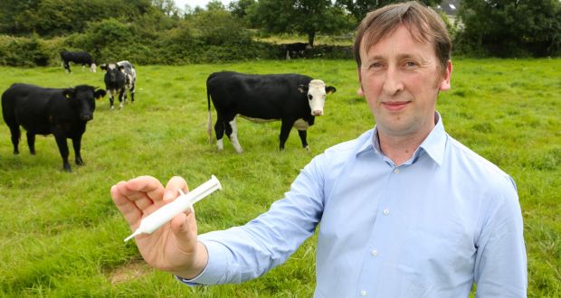 Dr Ruairi Friel, CEO of Westway Health, the NUI Galway spin-out which is taking on the global challenge of antibiotic-resistant bacteria. Photograph: Aengus McMahon