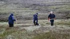 Gardaí searching in the Wicklow Mountains where the remains of  Patricia O’Connor were found. File photograph: Colin Keegan, Collins Dublin