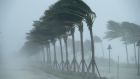 Trees bend in the tropical storm wind along in Fort Lauderdale, Florida. Photograph: Chip Somodevilla/Getty Images