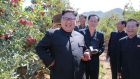 An  undated picture released from North Korea’s official Korean Central News Agency (KCNA) on Thursday shows North Korean leader Kim Jong-Un visiting a fruit farm in South Hwanghae Province, North Korea. Photograph:  AFP Photo/KCNA
