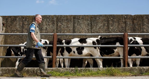 Harold Kingston farming in Courtmacsherry, Cork: Irish farmers are playing a leading role   in addressing the climate challenge. Photograph: Donal O’Leary