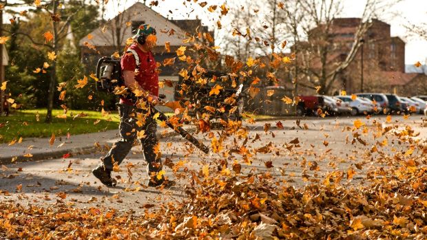 Oh, and they’re not “leaf” blowers. Photograph: Getty
