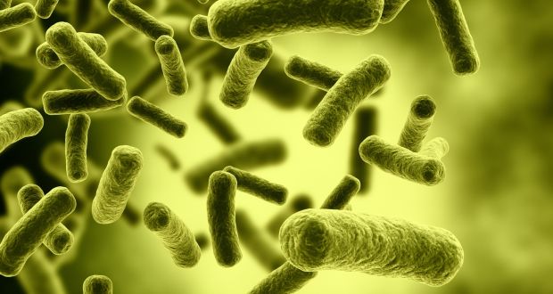 The HSE is seeking nearly €8m in additional funding to allow it to recruit about 80 key personnel such as microbiologists and laboratory staff to deal with the threat. File image: iStock