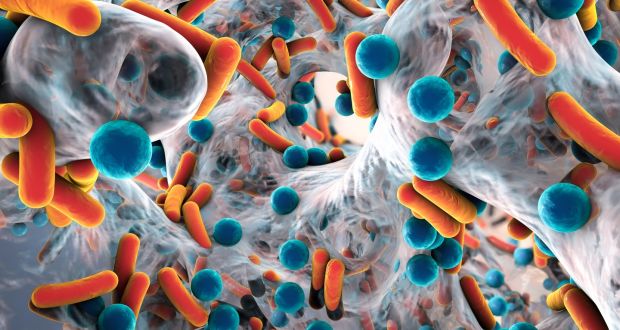 Antibiotic-resistant bacteria. Image: iStock
