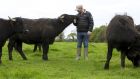 Wexford farmer Liam Byrne and his water buffalo. Photograph: Ramona Farrelly