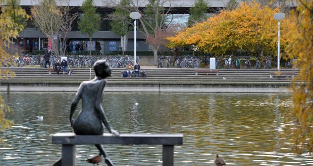 University College Dublin: New Government measures are aimed at attracting top academic talent to Irish universities from third-level colleges in the UK and elsewhere. Photograph: Alan Betson