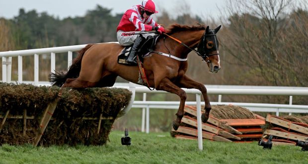 Acapella Bourgeois has his first start for Willie Mullins in the Ladbrokes Troytown Chase at Navan on Sunday.  Photograph: Donall Farmer/Inpho