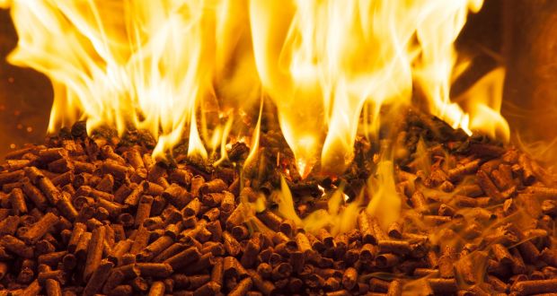 Wood pellets: Bord na Móna has to stop using peat to generate electricity by 2030. Photograph: Getty Images 