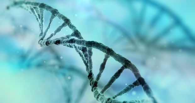 The results of the Irish project could be used to improve the diagnosis of genetic diseases, particularly illnesses that are prevalent among  people with Irish ancestry, including multiple sclerosis, cystic fibrosis and coeliac disease. 