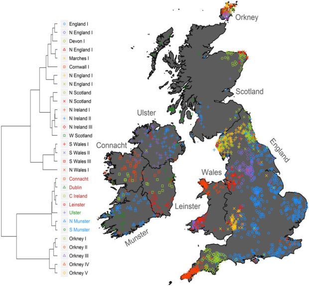 Thirty genetic clusters have been identified from 2,103 Irish and British individuals. The map shows the geographic origin of 192 Atlas Irish individuals and 1,611 British individuals from the Peoples of the British Isles project, labelled according to the geographic origin of their DNA.