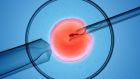 Since 1978, more than 6 million babies have been born through IVF across the world and over 2 per cent of European births are now through IVF. Photograph: iStock