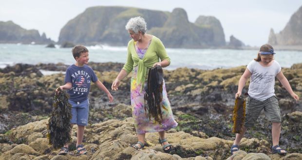 Sea gardeners: Marie Power foraging seaweed with helpers Katie and Harry Earl near Tramore in Co Waterford. Photograph: Patrick Browne