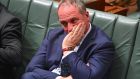 Barnaby Joyce: he had to resign in October from parliament when it emerged he was entitled to New Zealand citizenship through his father. Photograph: Mick Tsikas/AAP/via Reuters 