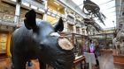  The Natural History Museum on Dublin’s Merrion Square is earmrked for priority funding under the National Development plan. Photograph: Alan Betson/The Irish Times