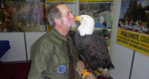 Attending the angling show in Swords, Lothar Muschketat with bald eagle ‘Alaska’