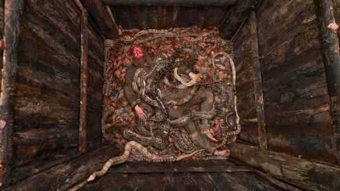 Ragnar (Travis Fimmel) dies in the snake pit. Ashford Studios, Co. Wicklow.  Photograph: Bernard Walsh

