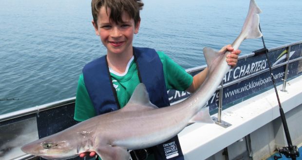 John Patrick Chew (12) with specimen smoothhound at Wicklow in 2017.