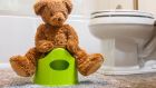 Tackling the seventh wonder of the parenting world, toilet training