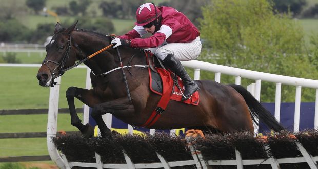 Apples Jade: will  try and bounce back to form at Punchestown later this month in the Mares Champion Hurdle.  Photograph: Lorraine O’Sullivan/Inpho 