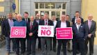 Members of Waterford City and County Council who stood for a group photo to highlight their support for a No vote. Photograph: Darren Skelton/Waterford News and Star