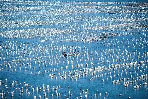 BUOYS IN BLUE: A fisherman sails past buoys in the port of Gouqi Island, Zhejiang Province, China. Photograph: Johannes Eisele/AFP/Getty Images
