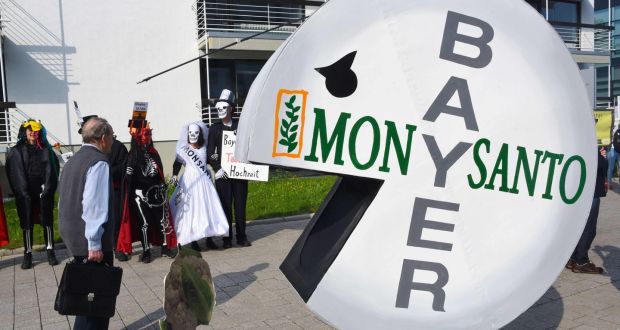 A protester in  a pill-shaped costume demonstrates against Bayer’s takeover of Monsanto by German chemicals firm Bayer outside the World Conference Centre  in Bonn. Photograph: Patrik Stollarz/AFP/Getty Images