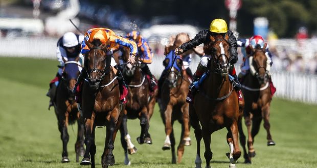  Andrea Atzeni riding Stradivarius (right, yellow cap) wins the Qatar Goodwood Cup Stakes from Torcedor (left, orange) at Goodwood. Photograph:  Alan Crowhurst/Getty Images