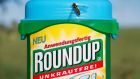 The herbicide Roundup, which contains glyphosate, is manufactured by the Monsanto company, a unit of German pharmaceutical company Bayer AG, in St Louis, USA. Photograph: Steffen Schmidt/EPA 