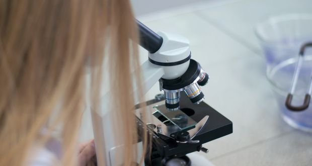 The rate at which labs process slides has slowed considerably since the summer because of concerns raised by the rate of litigation. Photograph: iStock