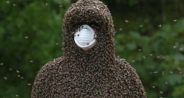Philip McCabe, attempting to break the world record for a “beard of bees” in a field near Cahir, Co Tipperary, on June 25th, 2005. The record is gauged by deducting the initial weight of the participant from the final weight. Photograph: PA