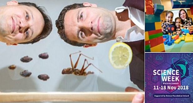 The weird and wonderful of Science Week: Jonathan McCrea, The Sugar Club, Dubland and others on show this week.  