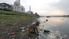 A monkey on the banks of the Yamuna river, next to the Taj Mahal in Agra, India. Photograph: Saumya Khandelwal/Reuters