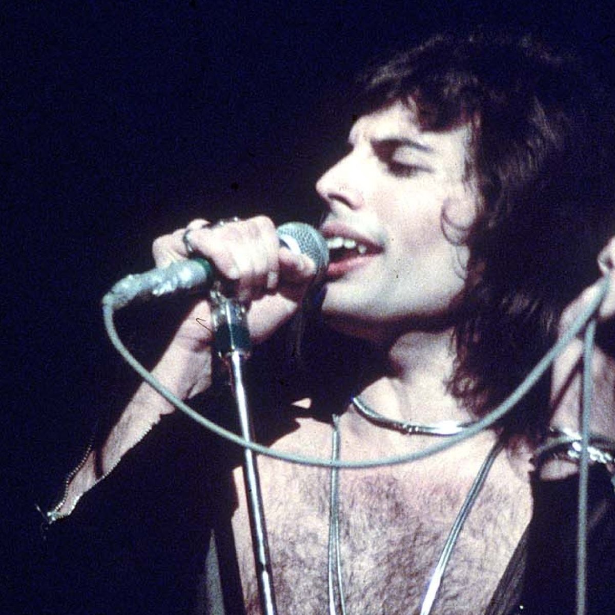 Freddie Mercury Bohemian Rhapsody Is No Tribute Its Full - queen one vision roblox song ids roblox zombie free