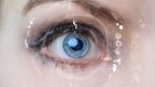 DeepMind, the London-based subsidiary of Alphabet, Google’s parent company, has an AI that screens retinal scans for conditions such as glaucoma, diabetic retinopathy and age-related macular degeneration. Photograph: iStock 